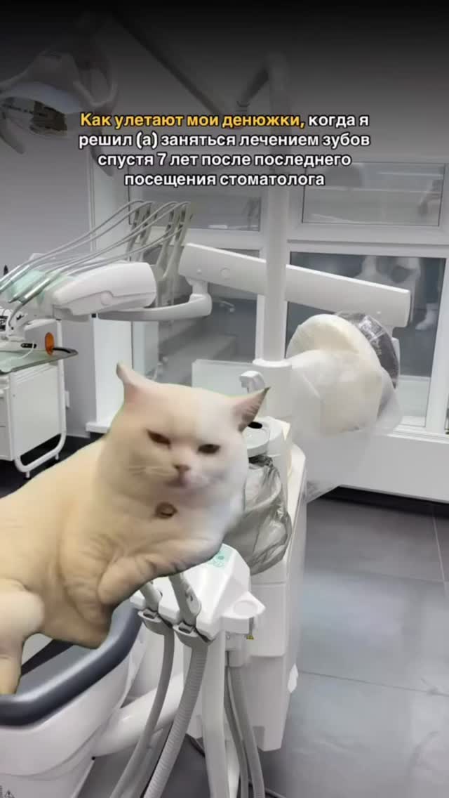 Ортопедия (коронки)